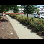 [Asphalt Maintenance, Inc. Malvern, PA]