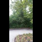 [Asphalt Maintenance, Inc. Malvern, PA]