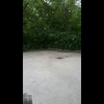 [Asphalt Maintenance, Inc. Malvern, PA]